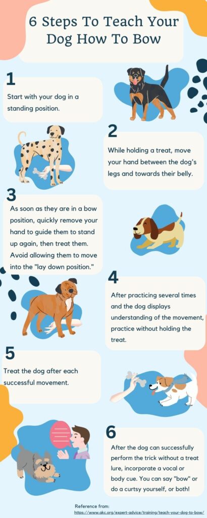 Infographic of the 6 steps to teach a dog how to do the "bow" trick
